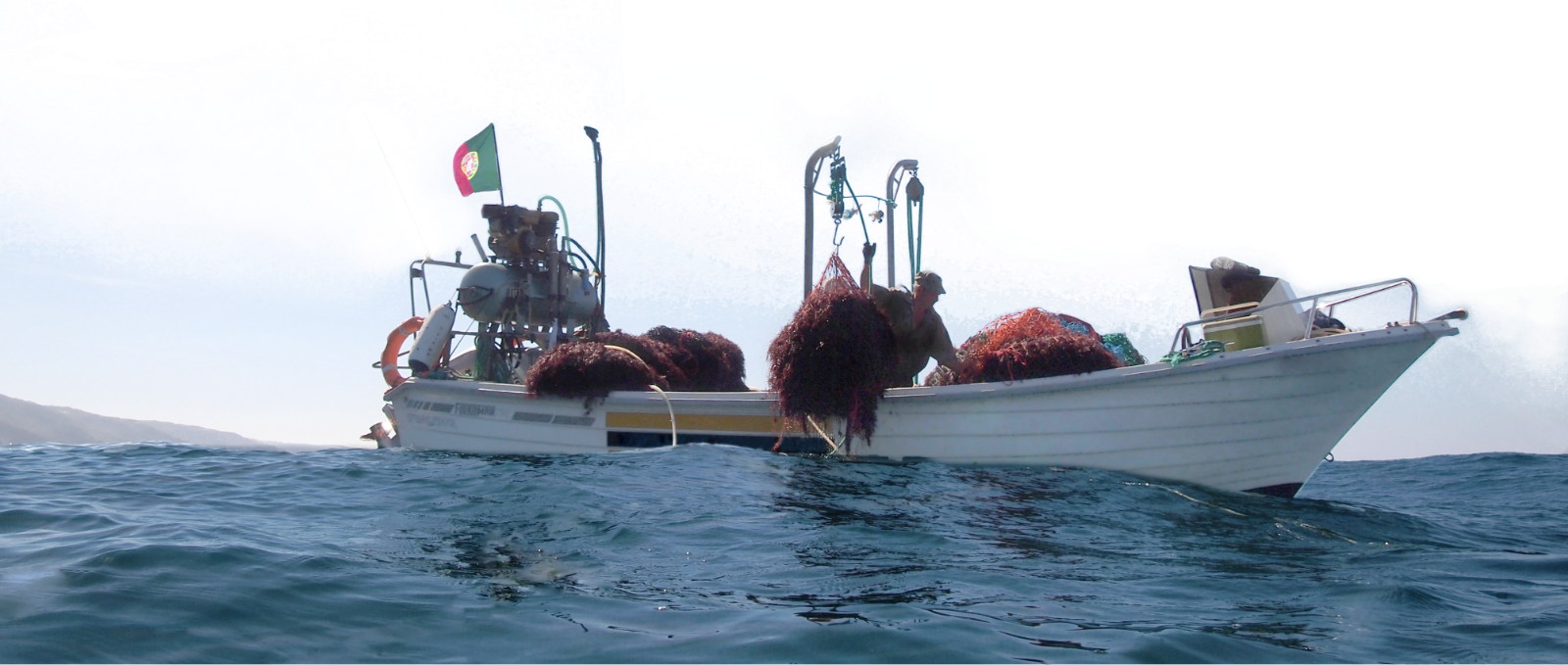 Iberagar company history